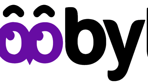 FLOOBYTE AND ITS SERVICES